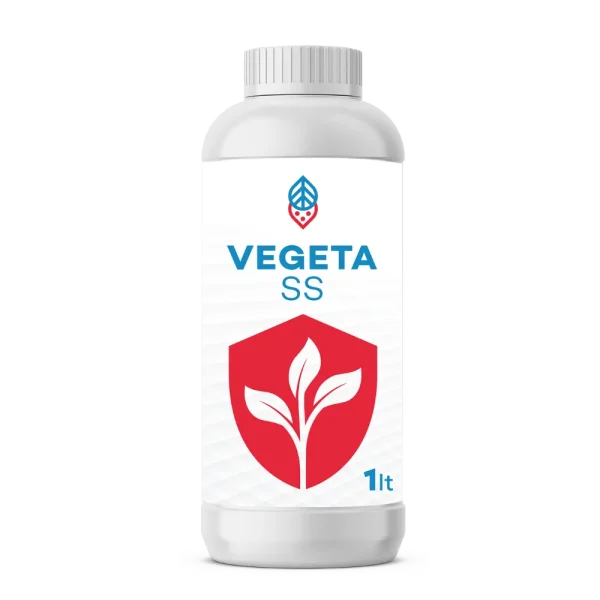 VEGETA SS